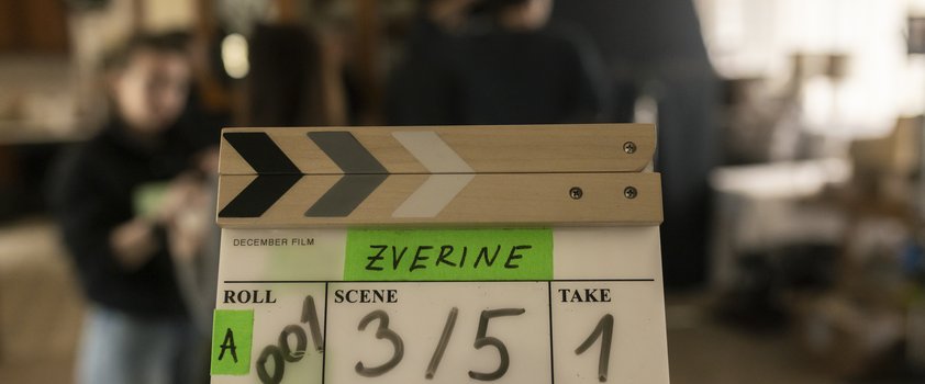 Zverine - Foto: Željko Stevanić