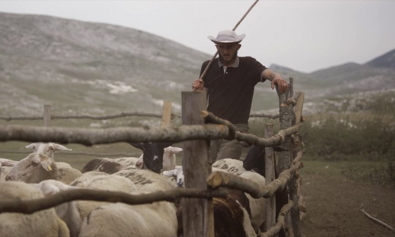 Gora se ne bo premaknila - Foto: Petra Pan film