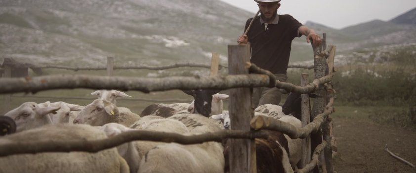 Gora se ne bo premaknila - Foto: Petra Pan film