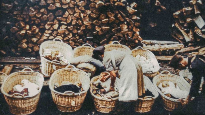 Prizor iz filma Zajeti v izviru – Slovenski otroci Lebensborna:  Ukradeni slovenski dojenčki leta 1942 na poti v Nemčijo. Foto Arhiv Bela film